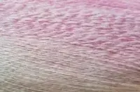 28081