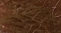 92